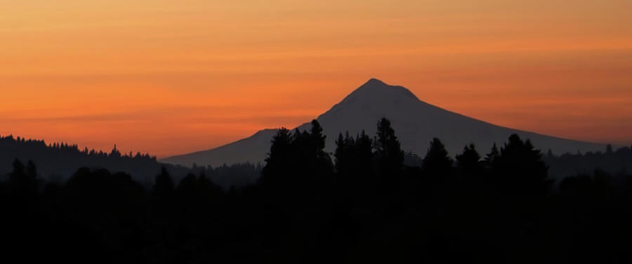 Portland Orange Morning Photograph by Loyd Towe Photography