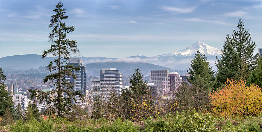 Portland Oregon skyline panorama and Mt. Hood. Photograph by Gino ...