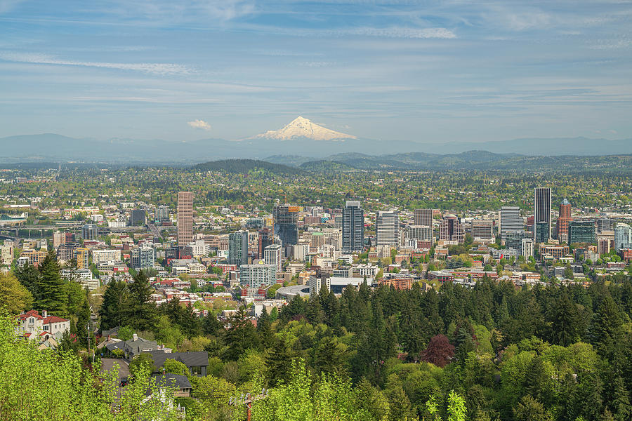 Portland Oregon skyline with Mt. Hood. Photograph by Gino Rigucci ...