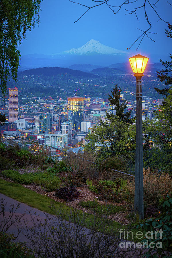 Portland skyline at night Photograph by Inge Johnsson