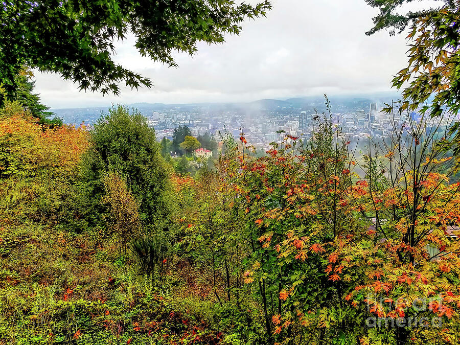 Portland View Photograph by Jon Burch Photography
