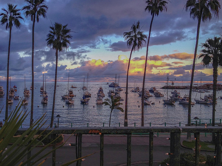 Portofino Inn, Avalon Harbor Balcony Sunset Photograph by Bonnie Colgan
