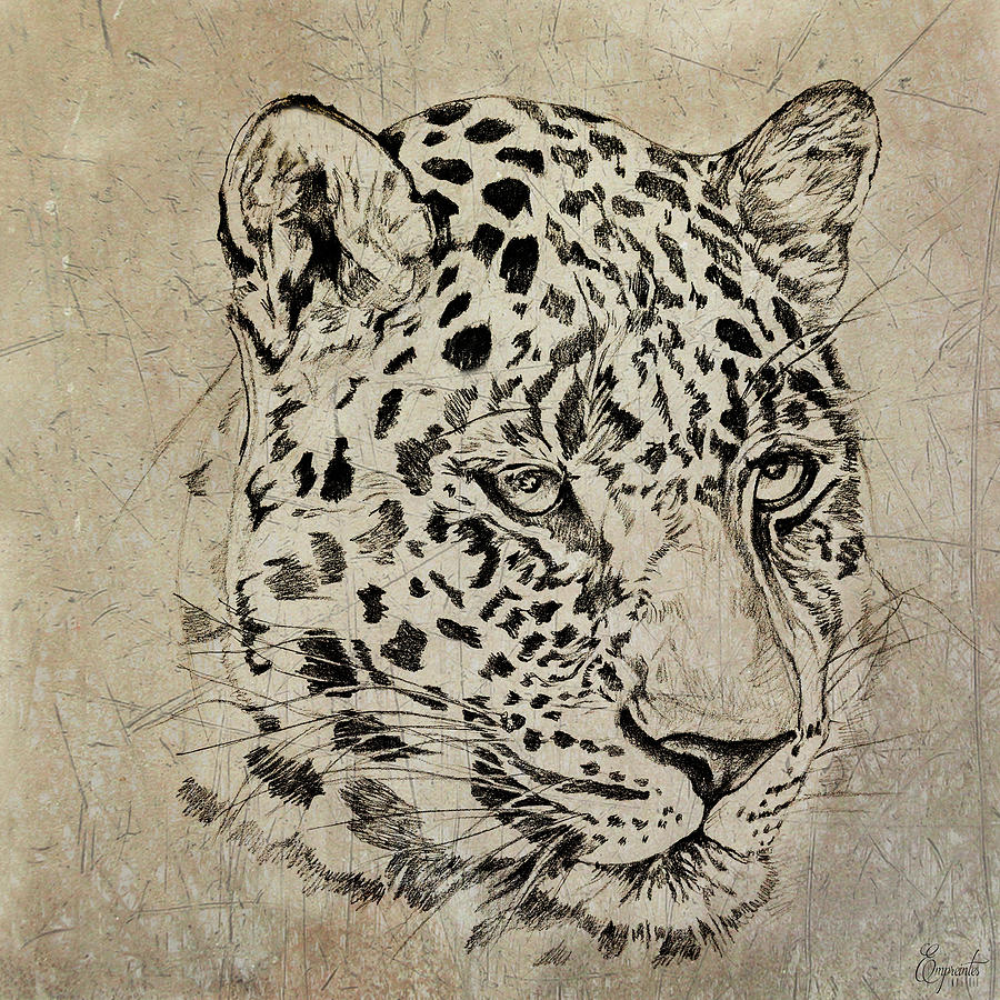 Portrait Leopard Drawing by Empreintes Imagerie - Fine Art America