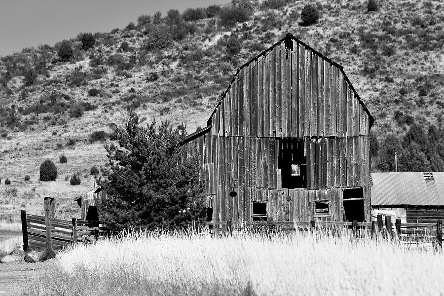 Portrait of a Barn Photograph by Necia Seamons - Fine Art America