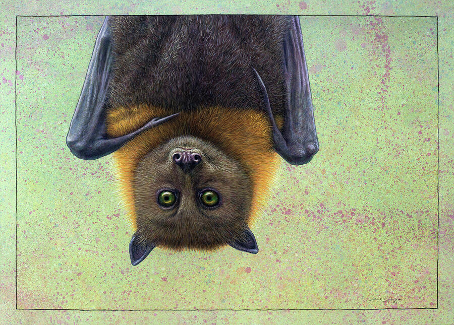 Portrait of a Bat Painting by James W Johnson