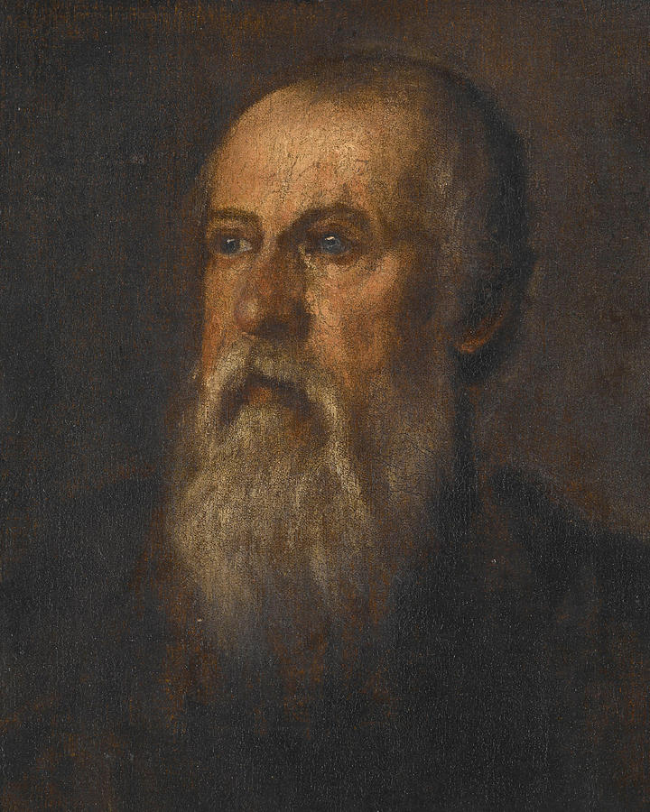 Veronese Painting - Portrait of a Bearded Man  by Paolo Veronese