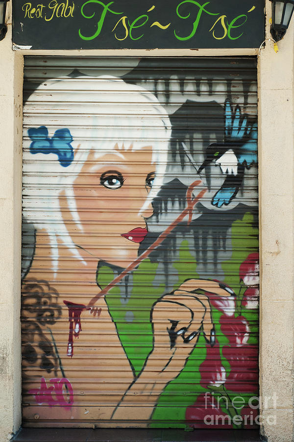 Portrait Of A Beautiful Young Blonde Girl Painted On The Door Photograph