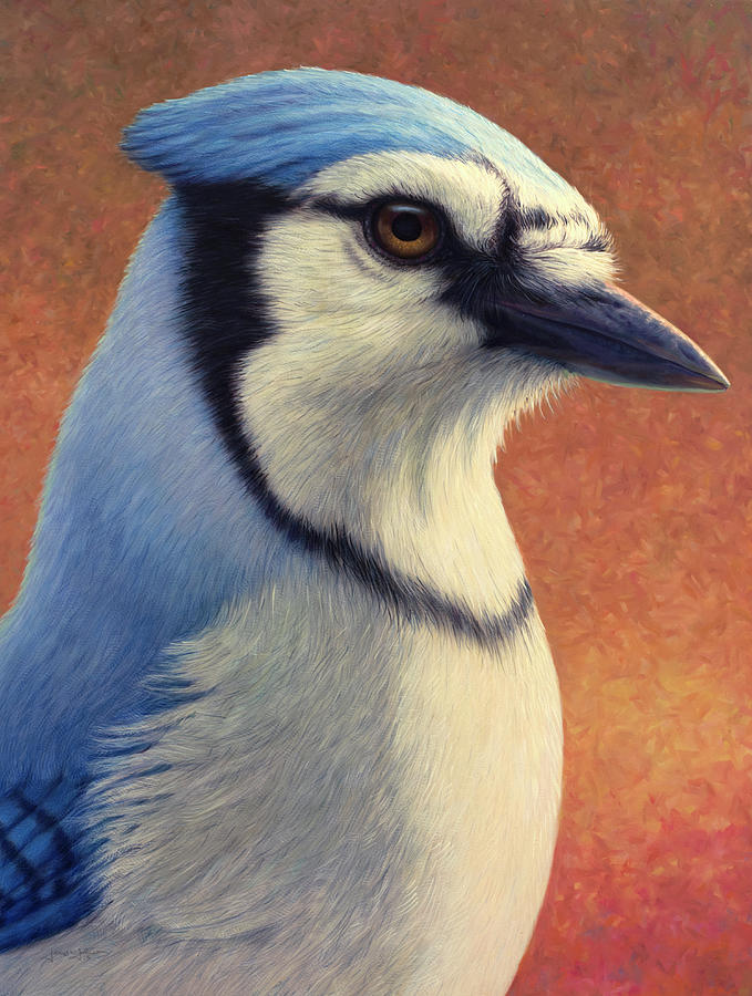 Feather Painting - Portrait of a Bluejay by James W Johnson