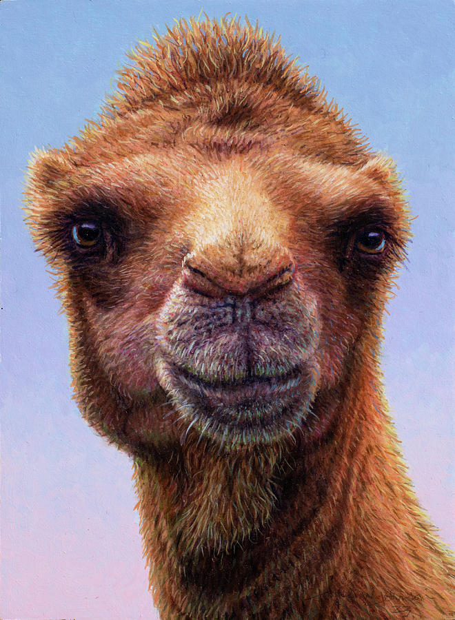 Portrait of a Camel Painting by James W Johnson