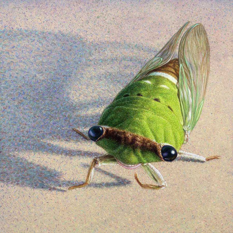Portrait of a Cicada Painting by James W Johnson