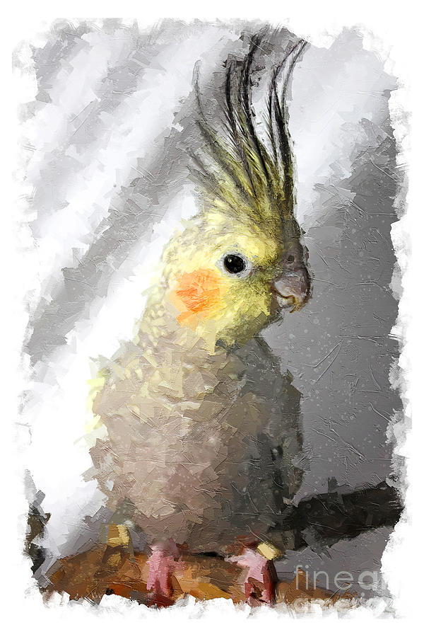 Parrot Painting - Portrait of a cockatiel oil by Gregory DUBUS