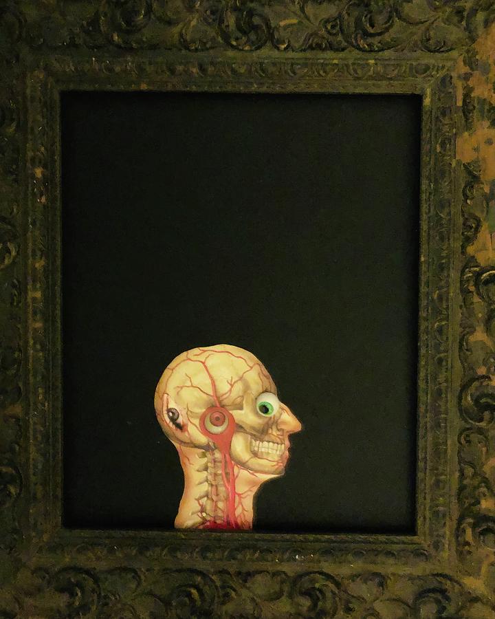 Portrait of a DeadHead Mixed Media by Douglas Fromm
