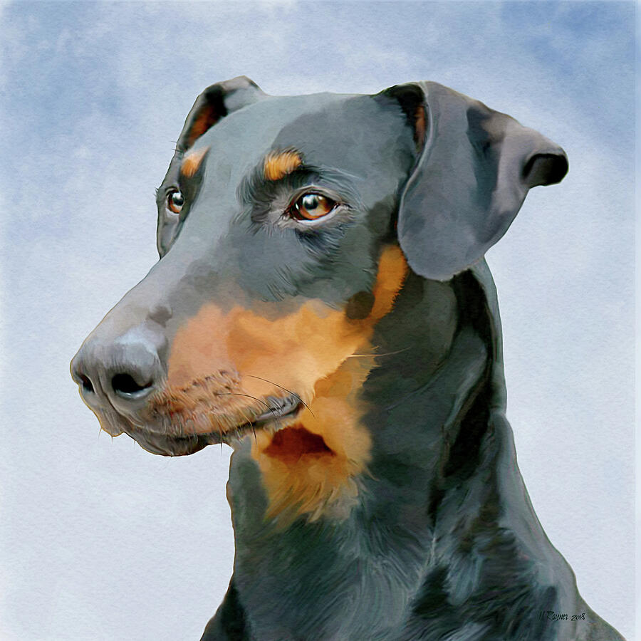 Portrait of a Doberman Digital Art by Bamalam Art Portrait of a Doberman Digital Art by Bamalam Art