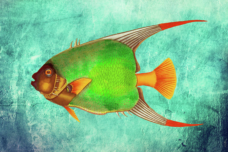 Portrait of a Fish 2 Digital Art by Lorena Cassady