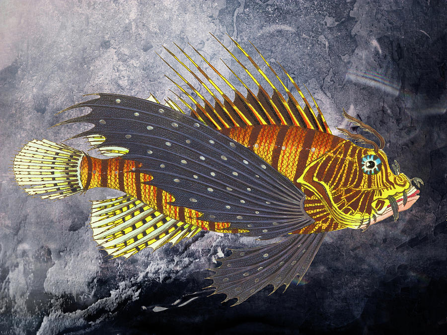 Portrait of a Flying Scorpaena Fish Digital Art by Lorena Cassady
