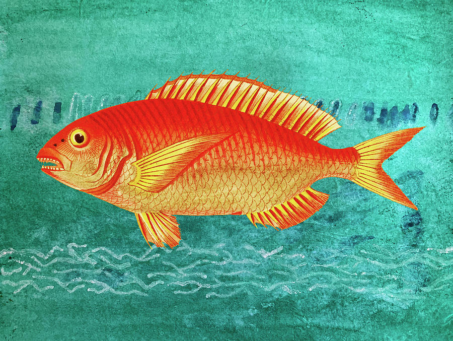 Portrait of a Gold Fish Mixed Media by Lorena Cassady