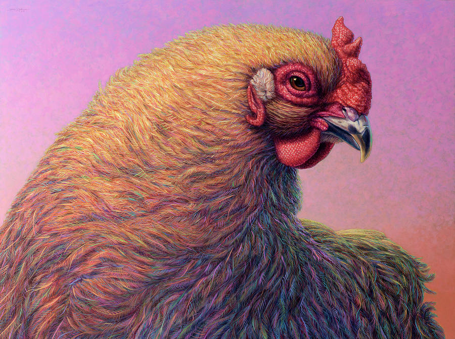 Portrait of a Hen Painting by James W Johnson