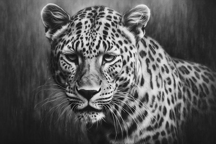 Wildlife Drawing - Portrait of a leopard by David Mohn