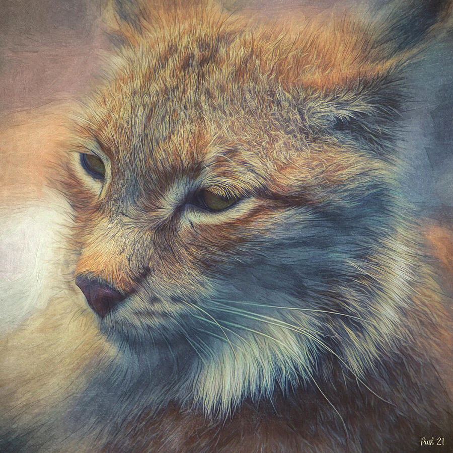 Portrait of a Lynx Photograph by Jutta Maria Pusl