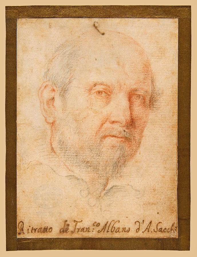 Portrait of a Man. Francesco Albani ? Drawing by Andrea Sacchi