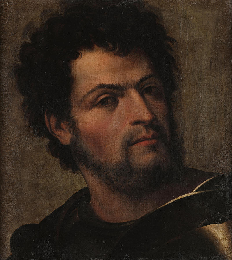 Portrait Of A Man In Armor Painting By Sebastiano Luciani Detto ...