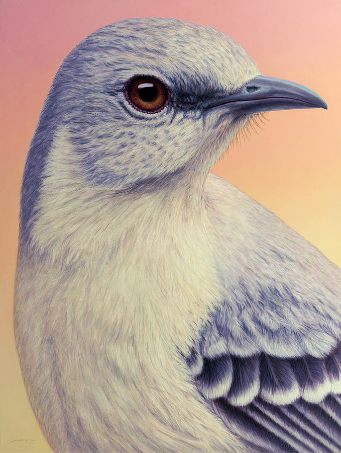 Mockingbird Painting - Portrait of a Mockingbird by James W Johnson
