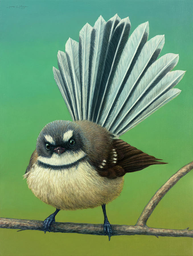 Nature Painting - Portrait of a New Zealand Fantail by James W Johnson