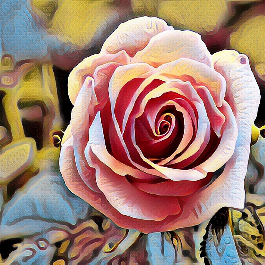 Portrait Of A Pink Rose Digital Art By James Inlow Fine Art America
