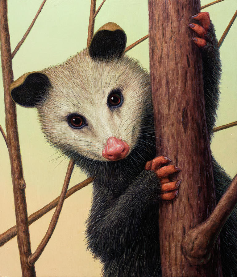 Portrait of a Possum Painting by James W Johnson