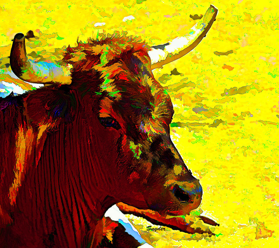 Portrait of a Steer Close Up Photograph by Floyd Snyder
