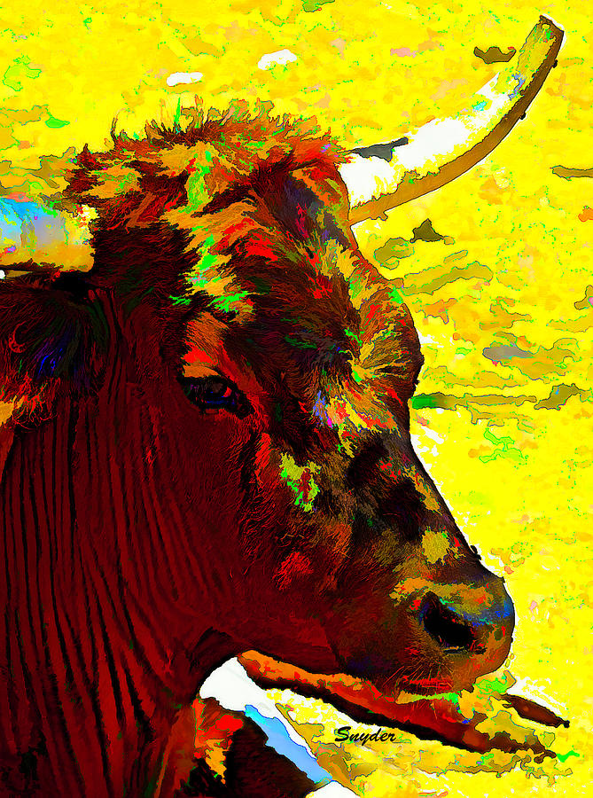 Portrait of a Steer Detail Photograph by Floyd Snyder