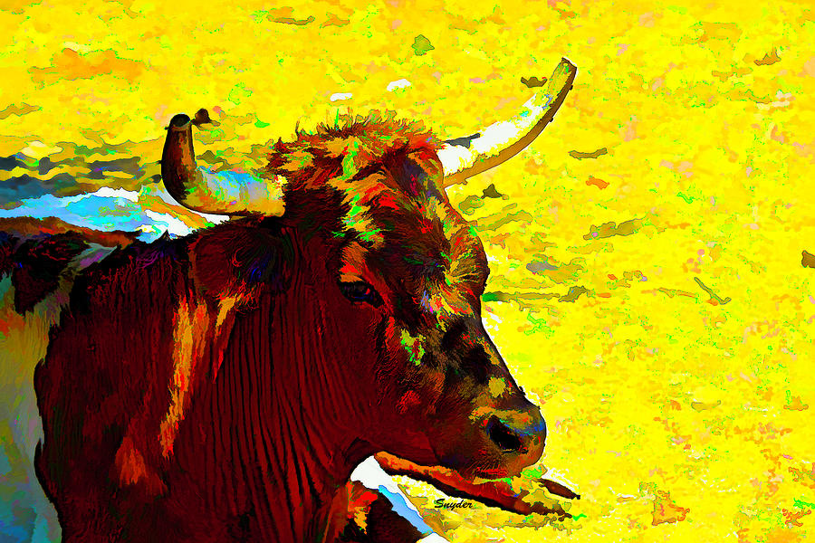Portrait of a Steer  Photograph by Floyd Snyder