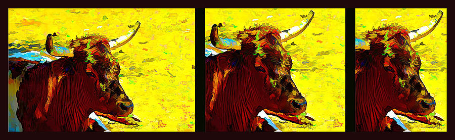 Portrait of a Steer Triptych Photograph by Floyd Snyder