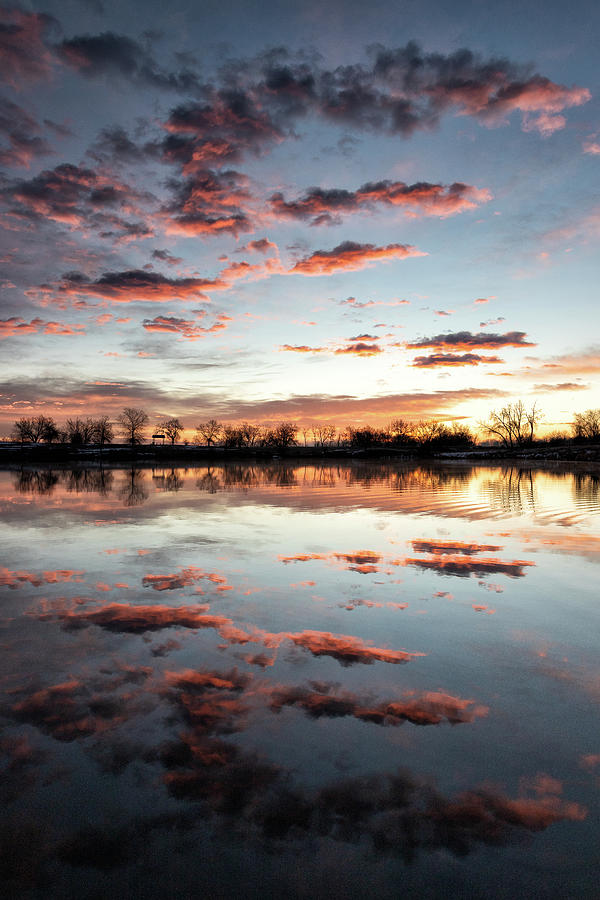 Portrait of a Suburban Sunrise on a Pond Photograph by Tony Hake