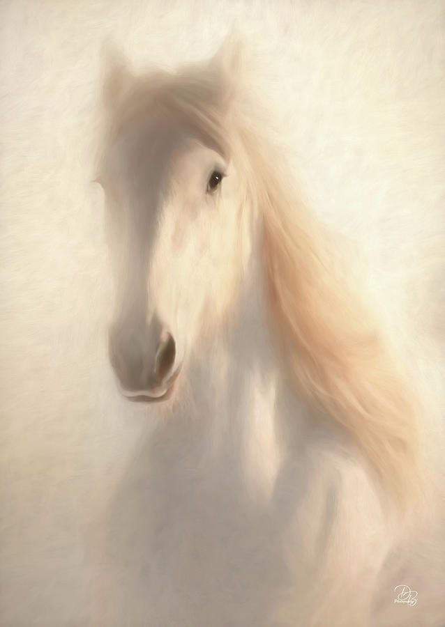 Portrait of a white horse Photograph by Debra Boucher