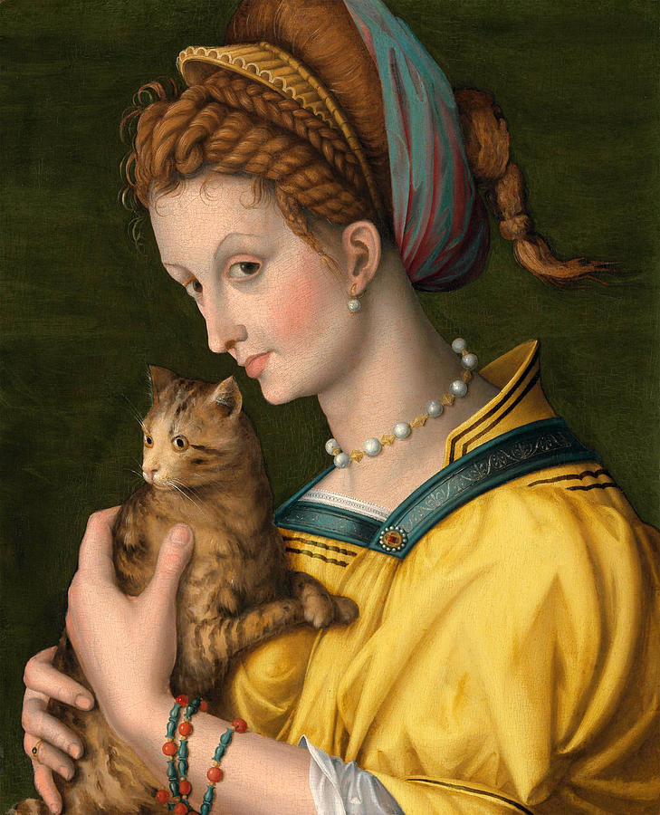 Portrait of a young lady holding a cat  Painting by Bachiacca
