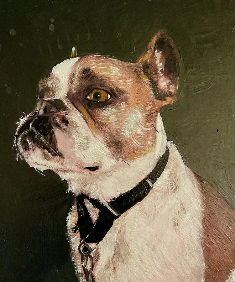Portrait of an American Bulldog Painting by Gary Springer
