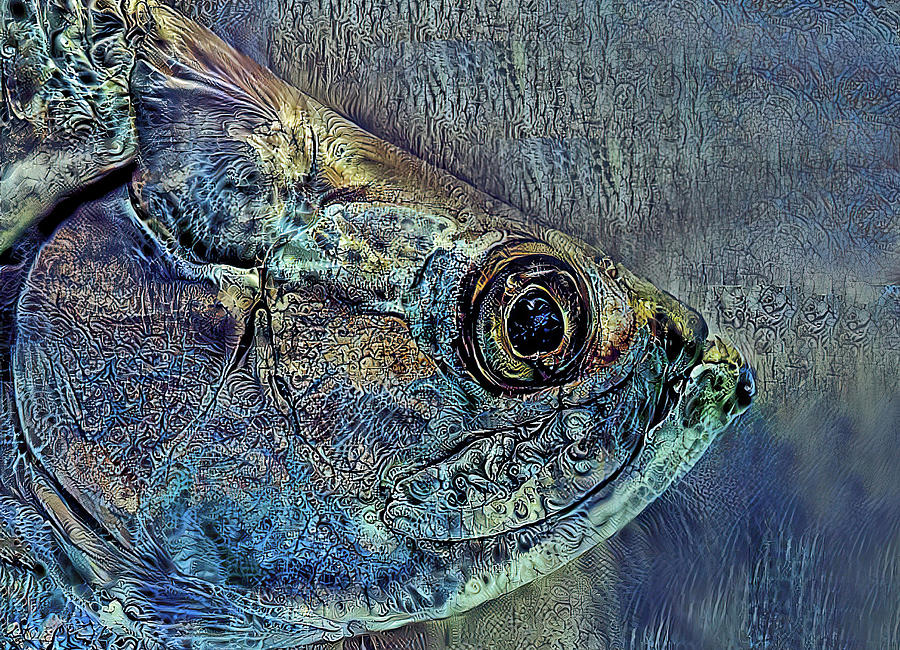 Portrait Of An Atlantic Tarpon Photograph by HH Photography of Florida