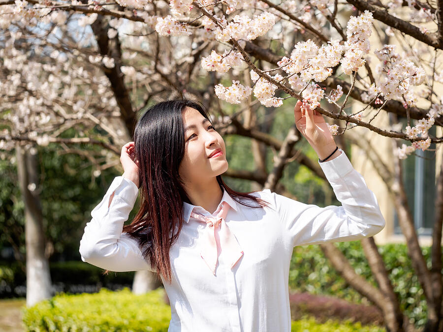 Portrait of asian girl student in school uniform japanese style, smiling among blossom cherry tree brunch in spring garden, beauty, summer, emotion, expression and people concept. Photograph by Yanjf