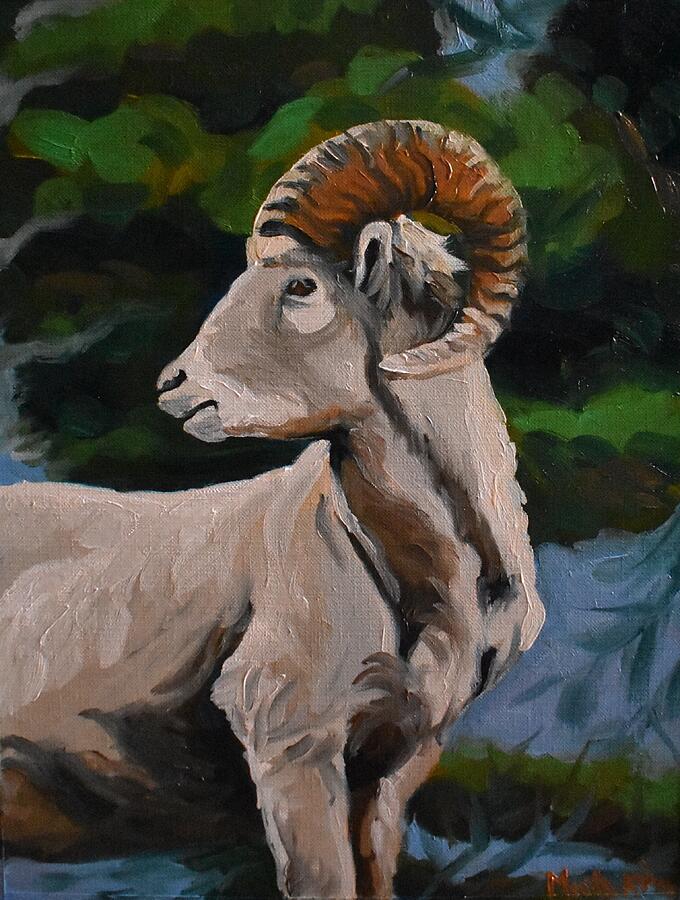 Portrait of Bighorn Sheep Painting by Marta Pawlowski