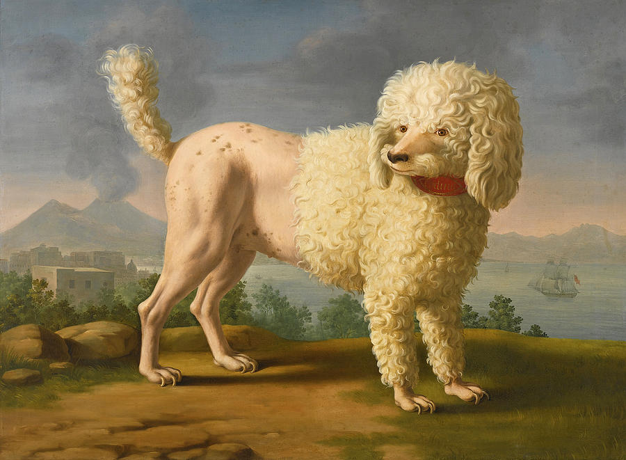 Portrait of Codina, Believed To Be Lady Hamiltons Poodle Painting by Neapolitan School