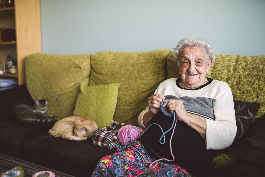 Portrait of crocheting senior woman sitting on couch besides her sleeping cats Photograph by Westend61