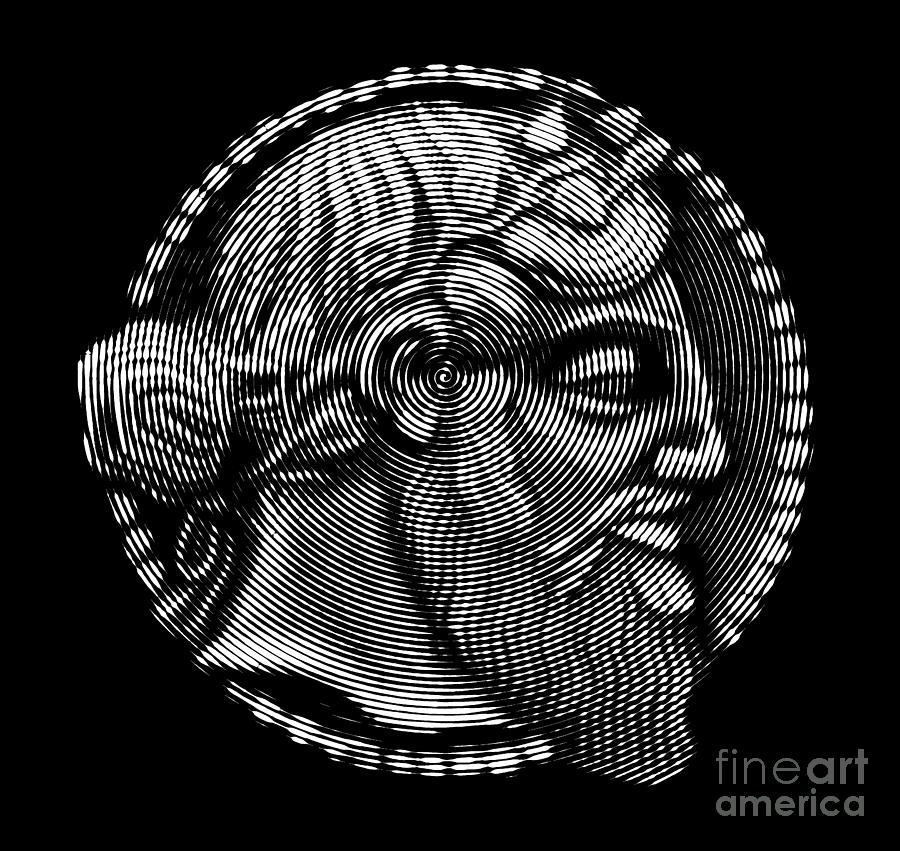 portrait of Dionysus aka Bacchus , God of  winemaking and wine Digital Art by Cu Biz