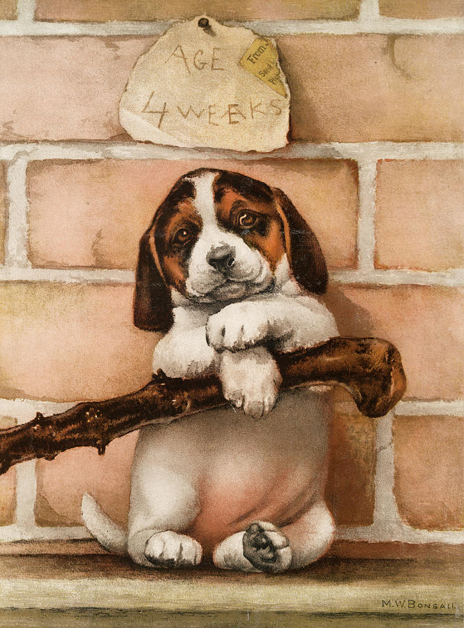 Portrait of Dog with Stick and Brick Wall Painting by American School -  Pixels
