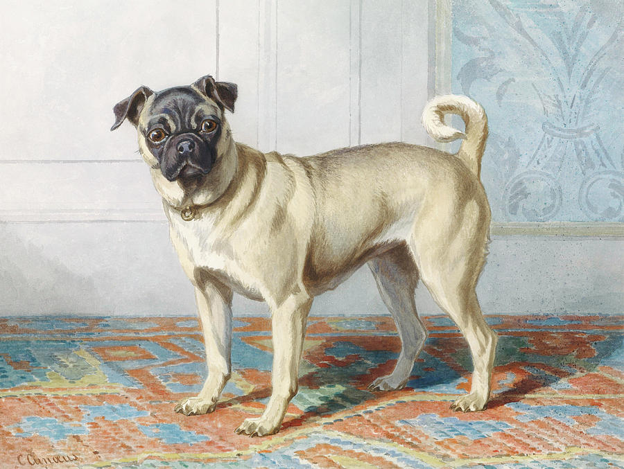 Portrait Of Edwin Vom Raths Pug Painting