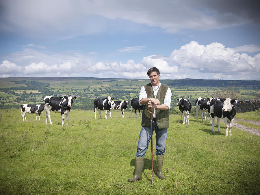 Portrait of farmer and cows in field Photograph by Monty Rakusen