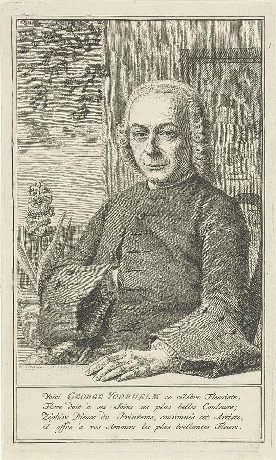 Portrait of George Voorhelm, Cornelis van Noorde, Painting by MotionAge Designs
