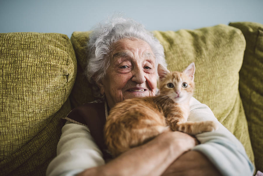 Portrait of happy senior woman cuddling with her cat on the couch Photograph by Westend61