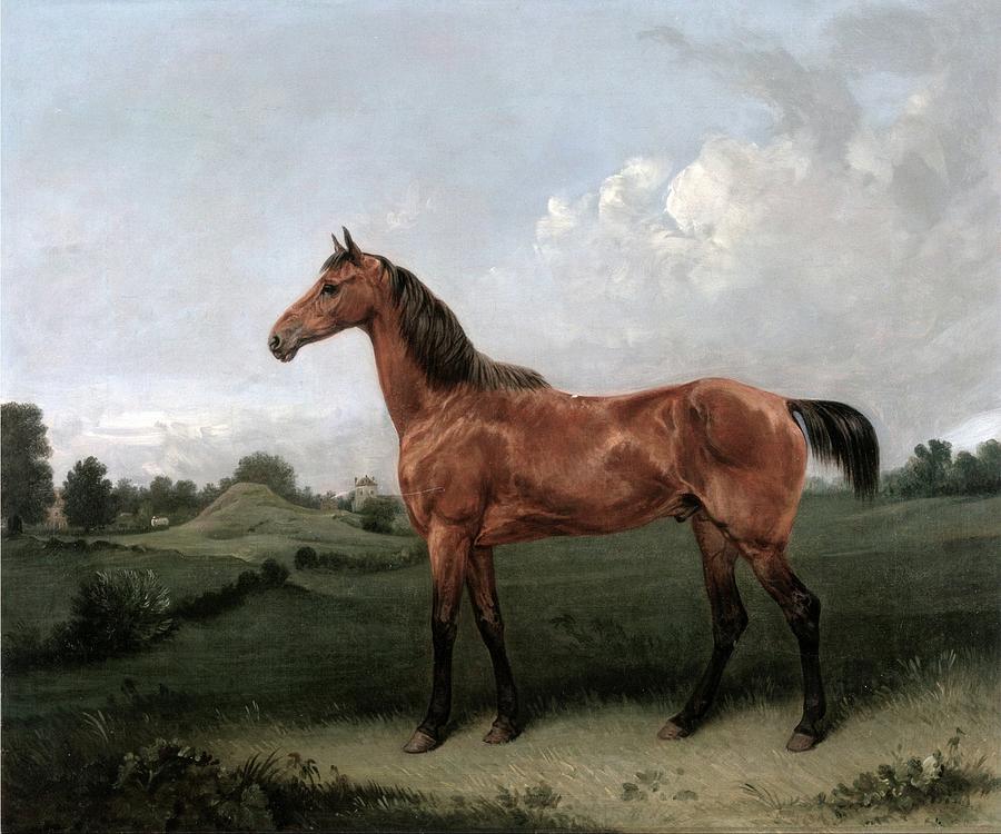 Portrait of horse Painting by Benjamin Johnson - Fine Art America