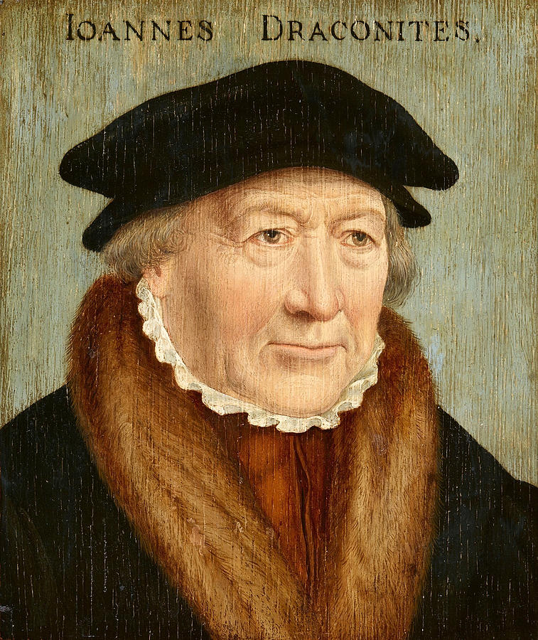 Portrait of Johannes Draconites Painting by Barthel Bruyn the Elder